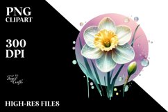Glossy Watercolor Narcissus Clipart Product Image 3