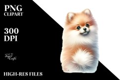 Pastel Pomeranian with Christmas Decoration Product Image 1