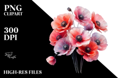 Poppy Watercolor Splash PNG Product Image 2