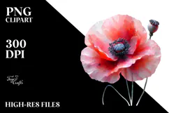 Poppy Watercolor Splash PNG Product Image 2