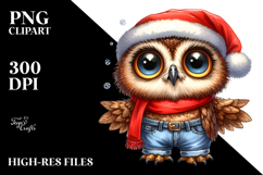 Patriotic Owl with Sunglasses, Transparent PNG Product Image 2