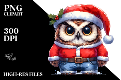 Owl Santa Suit Clipart Product Image 2