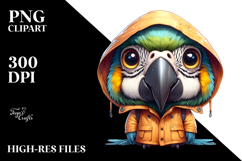 Macaw Raincoat Clipart Product Image 2