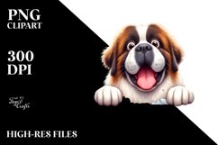 crazy saint bernard peeking clipart Product Image 1