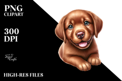 Cute Happy Baby Chesapeake Bay Retriever PNG Product Image 2