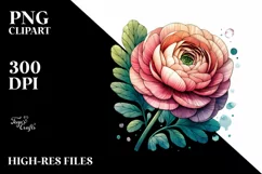 Wooden Stained Ranunculus Watercolor | Clipart Product Image 1