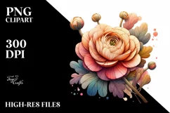 Wooden Stained Ranunculus Watercolor | Clipart Product Image 3