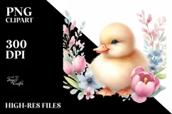 Cute Baby Duck, Transparent PNG Product Image 1