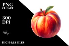 Watercolor Nectarine | Sublimation Clipart Product Image 3