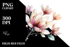 Magnolia PNG Product Image 2