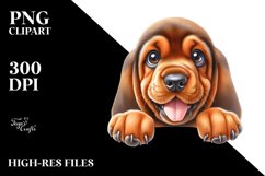 Cute Baby Bloodhound | Sublimation | Clipart Product Image 1