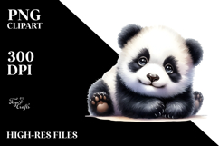 Sublimation|Clipart Product Image 2