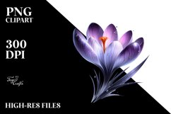 Glossy Shiny Crocus with Watercolor Splash | Sublimation | Product Image 1