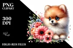 Watercolor Cute Baby Pomeranian | Clipart Product Image 1