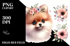 Watercolor Cute Baby Pomeranian | Clipart Product Image 1
