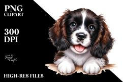 Smiling Springer Spaniel, SEO PNG Product Image 2