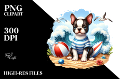 Cute Boston Terrier Sitting in Sand with Surf and Ball | Product Image 2