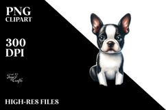 Watercolor Boston Terrier in Sand | Clipart Product Image 2