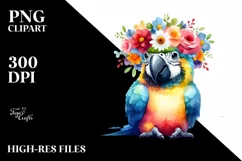Cute Baby Macaw, Transparent PNG Product Image 3