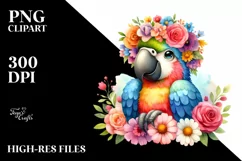 Cute Baby Macaw, Transparent PNG Product Image 1