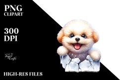 Crazy Bichpoo Wall | Sublimation | Clipart Product Image 3