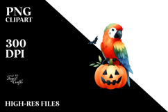 Quirky Bird, Transparent PNG Product Image 2