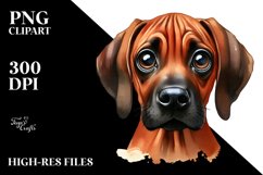 Sublimation|Clipart Product Image 3