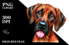 Sublimation|Clipart Product Image 3