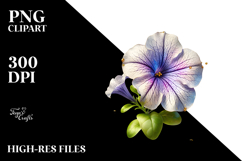 Petunia with Golden Insertions PNG Product Image 2