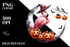 Flamingo Dressed for Halloween, Transparent PNG Product Image 2