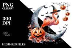 Flamingo on Moon Halloween PNG Product Image 2