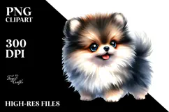 Expressive Pomeranian Portrait, Transparent PNG Product Image 2