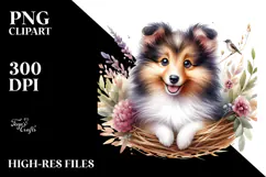 Cute Happy Baby Shetland Sheepdog with Big Eyes PNG Product Image 2
