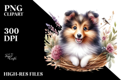 Cute Happy Baby Shetland Sheepdog with Big Eyes PNG Product Image 2
