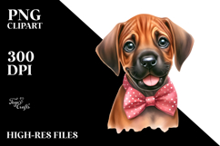 Cute Happy Rhodesian Ridgeback PNG Product Image 2