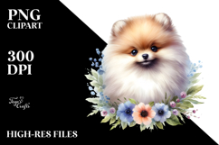 Cute Pomeranian PNG Product Image 2