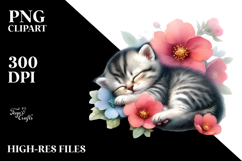 Sleeping Baby Cat PNG Product Image 2