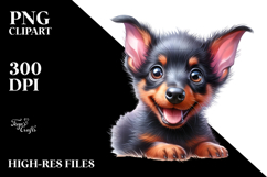 Cute Baby Doberman Pinscher with Crazy Furr Product Image 2