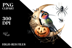 Hummingbird Dressed for Halloween, Transparent PNG Product Image 2