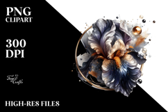 Abstract y Iris, Transparent PNG Product Image 2