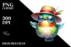 Cute Baby Hummingbird with Sun es and Sun Hat Product Image 3