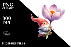 Cute Small Gnome Holding Crocus | Sublimation | Clipart Product Image 1