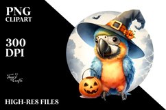 Cute Baby Macaw in Halloween Attire, High-Quality Image Product Image 1