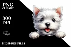 Enthusiastic Cute Crazy Baby | Sublimation Clipart Product Image 1
