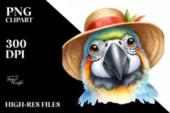 Funny Parrot Portrait with Sun Hat PNG Product Image 1