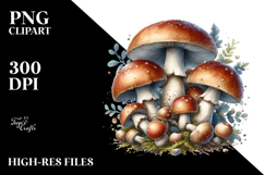 Detailed Mushroom, Transparent PNG Product Image 2