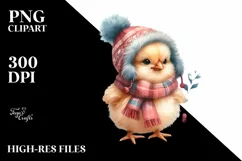 Cute Winter Baby Macaw PNG Product Image 1