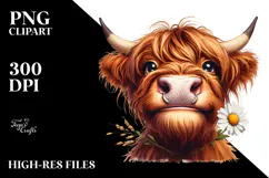 Watercolor Highland Cow Portrait Daisy | Sublimation Clipart Product Image 2