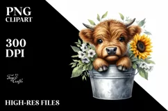 Cute Baby Highland Cow PNG Product Image 3