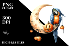 Macaw Dressed for Halloween PNG Product Image 2